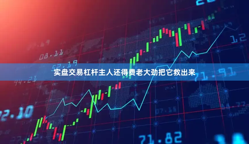 实盘交易杠杆主人还得费老大劲把它救出来