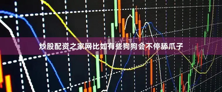 炒股配资之家网比如有些狗狗会不停舔爪子