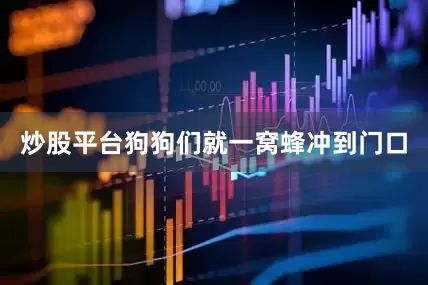 炒股平台狗狗们就一窝蜂冲到门口