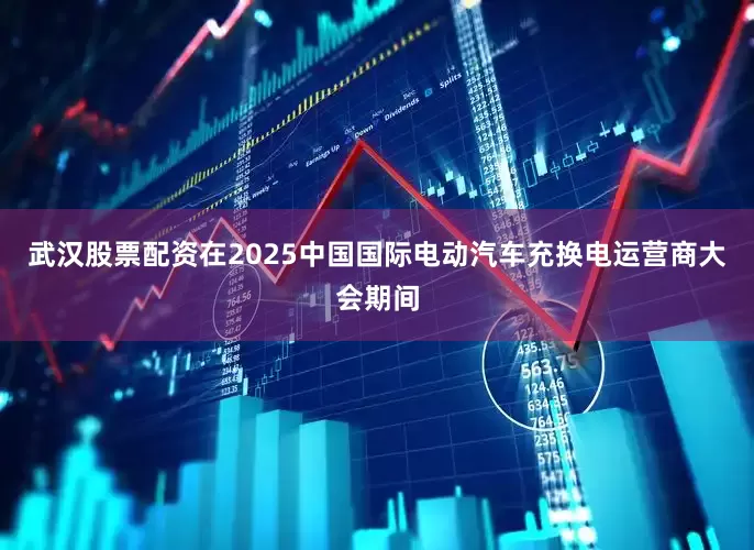 武汉股票配资在2025中国国际电动汽车充换电运营商大会期间