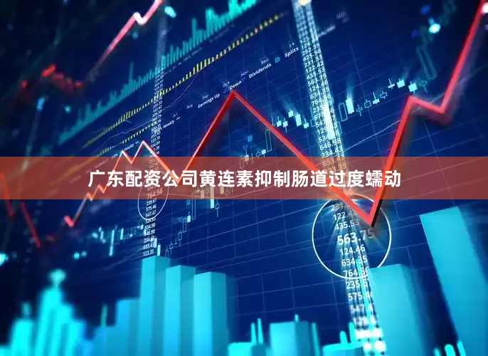 广东配资公司黄连素抑制肠道过度蠕动