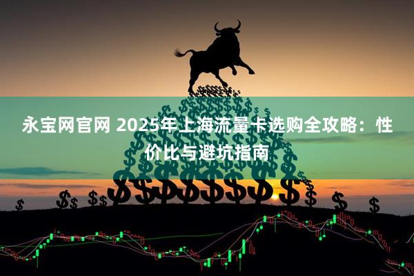 永宝网官网 2025年上海流量卡选购全攻略:性价比与避坑指南